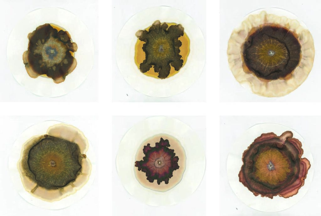 ERD-CHROMATOGRAPHIE