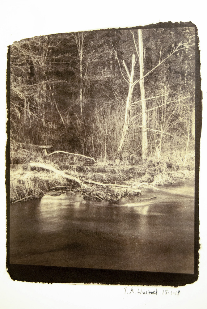 analog processed image depicting a nature scene