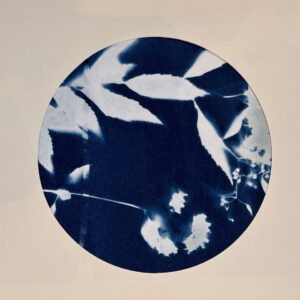 WORKSHOP - EXPERIMENTAL AND SUSTAINABLE PHOTO BOOKS USING CAMERA-LESS PHOTOGRAPHY