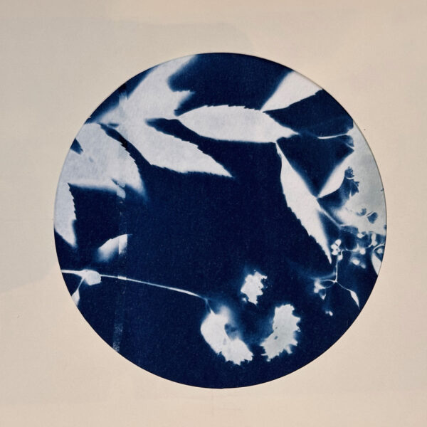WORKSHOP - EXPERIMENTAL AND SUSTAINABLE PHOTO BOOKS USING CAMERA-LESS PHOTOGRAPHY