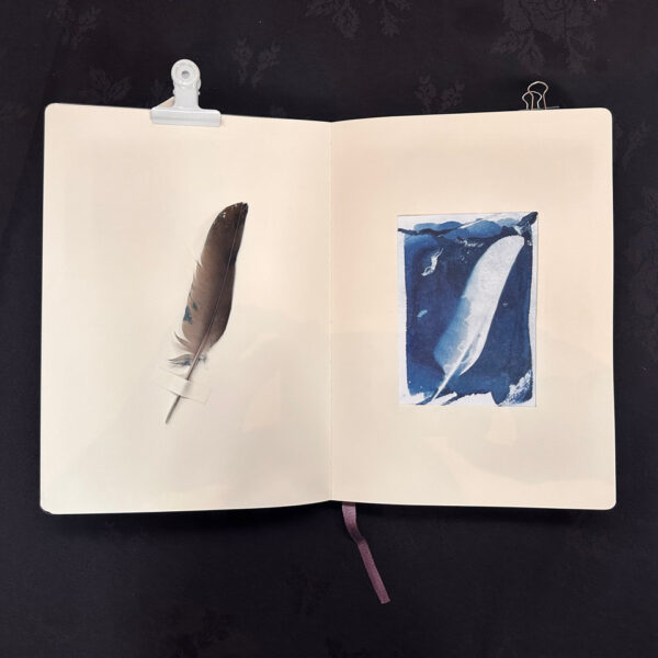 WORKSHOP - EXPERIMENTAL AND SUSTAINABLE PHOTO BOOKS USING CAMERA-LESS PHOTOGRAPHY - Image 2