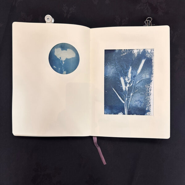 WORKSHOP - EXPERIMENTAL AND SUSTAINABLE PHOTO BOOKS USING CAMERA-LESS PHOTOGRAPHY - Image 3