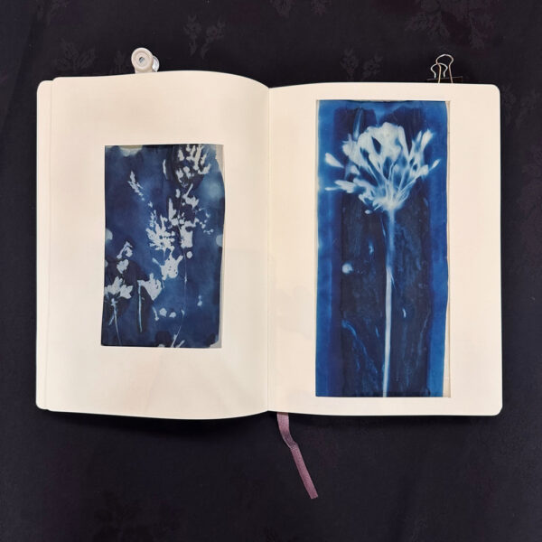WORKSHOP - EXPERIMENTAL AND SUSTAINABLE PHOTO BOOKS USING CAMERA-LESS PHOTOGRAPHY - Image 4