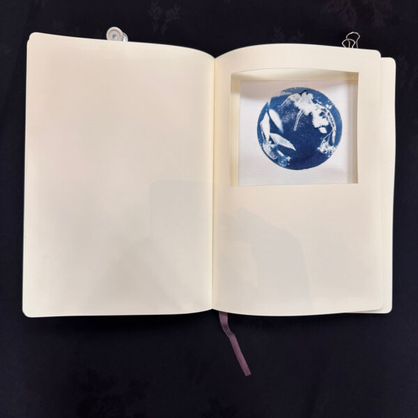 WORKSHOP - EXPERIMENTAL AND SUSTAINABLE PHOTO BOOKS USING CAMERA-LESS PHOTOGRAPHY - Image 5