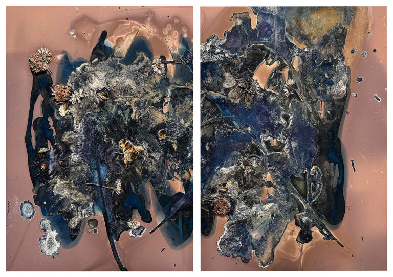Aindreas Scholz - The Most Beautiful Anthropocene