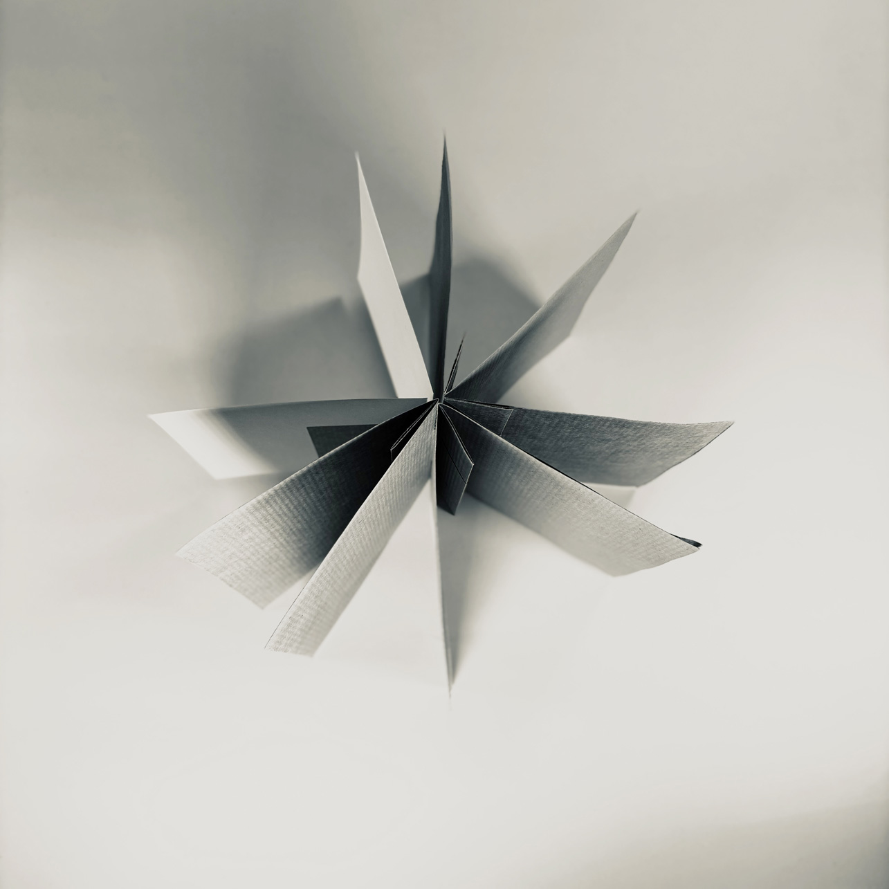 WORKSHOP - ECOLOGICAL WETROOM: EXPERIMENTAL CYANOTYPE (PART I & II) - Image 10