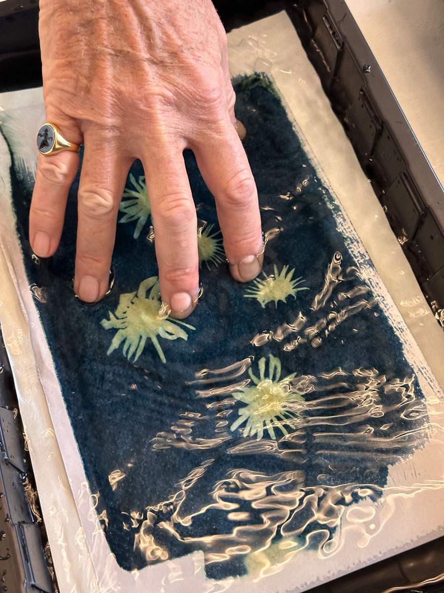 WORKSHOP - ECOLOGICAL WETROOM: EXPERIMENTAL CYANOTYPE (PART I & II) - Image 2