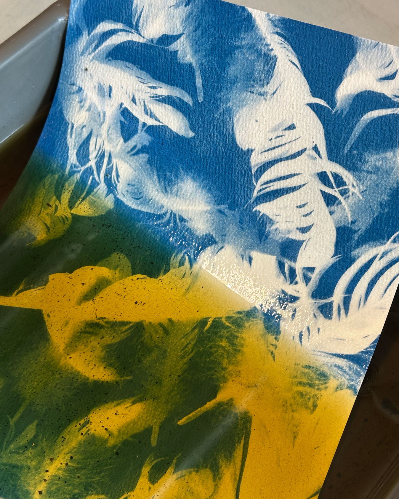 WORKSHOP - ECOLOGICAL WETROOM: EXPERIMENTAL CYANOTYPE (PART I & II) - Image 3