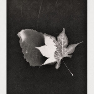 WORKSHOP - RESIDUAL LIGHT: LUMEN PRINTING AND MULTI-MEDIA ENLARGEMENT